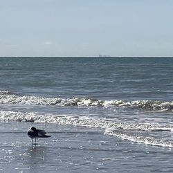 Tarpon Bay Road Beach Park