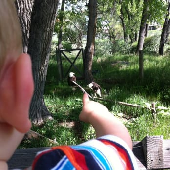 ZooMontana - Zoos Near Me - Billings, Montana ZooMontana - Zoos Near Me - Billings, Montana