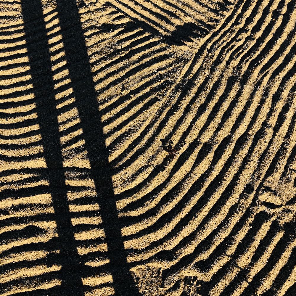 Ralph B Clark Regional Park - sand baby. - Parks Near Me - Buena Park, California Ralph B Clark Regional Park - sand baby. - Parks Near Me - Buena Park, California