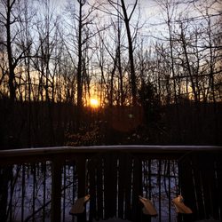 Ella's Enchanted Treehouses - Treehouse sunset!