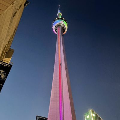 CN Tower by null