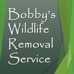 Bobby's Wildlife Removal
