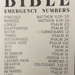 Village Express Mail Center - $4.25 poster