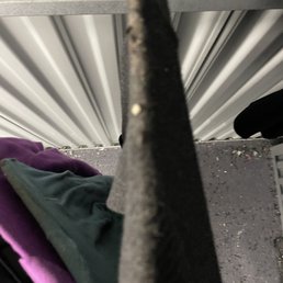 Shoulder seam of sweater chewed through by rats. Shoulder seam of sweater chewed through by rats.