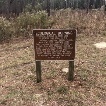 Wekiwa Springs State Park - Parks Near Me - Apopka, Florida Wekiwa Springs State Park - Parks Near Me - Apopka, Florida