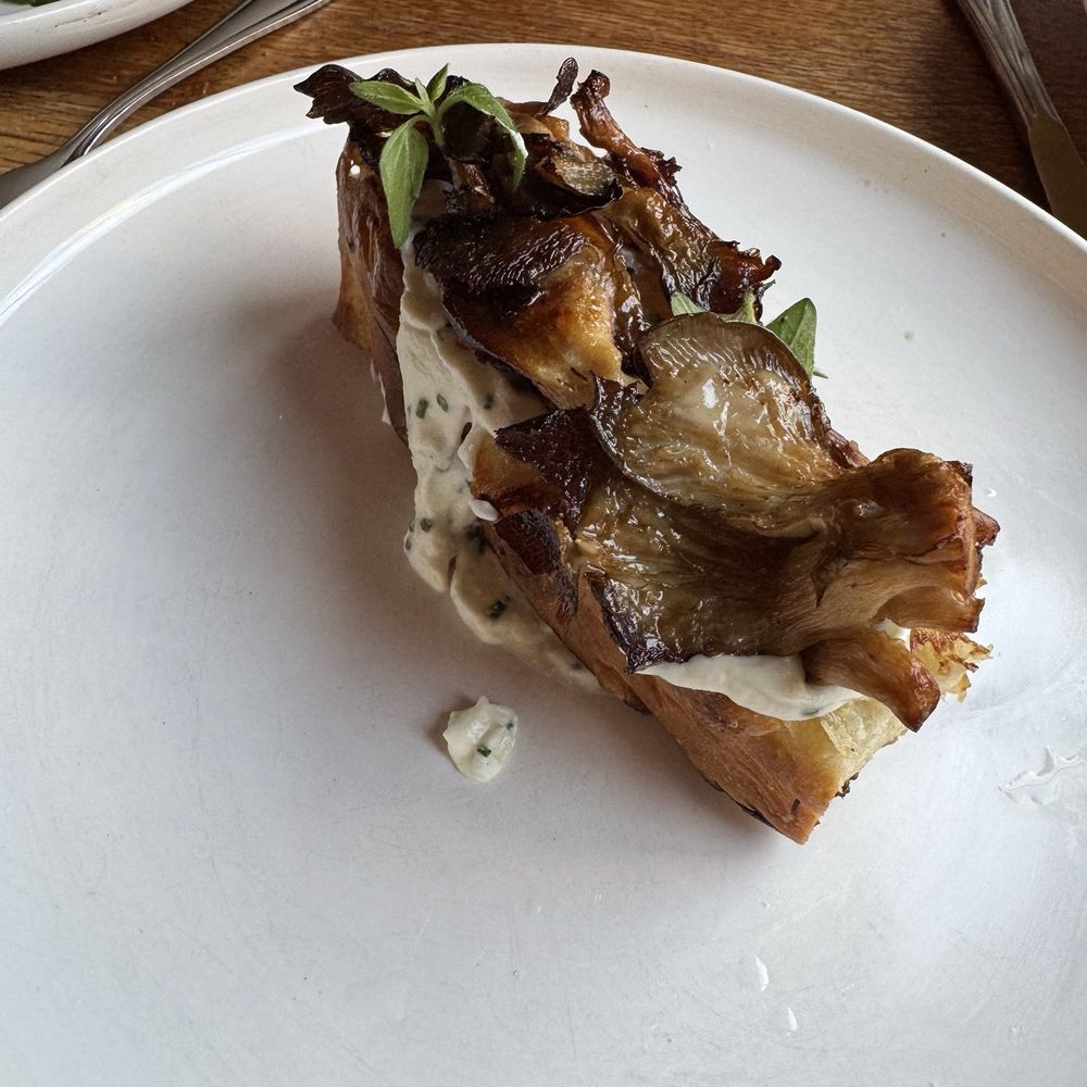 New Rivers - Trumpet mushrooms and toast - New American Near Me - Providence, Rhode Island New Rivers - Trumpet mushrooms and toast - New American Near Me - Providence, Rhode Island