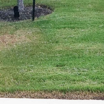 GoMow - Cut too short exposing dead grass and edging is on another level of bad. - Lawn Services Near Me - Austin, Texas