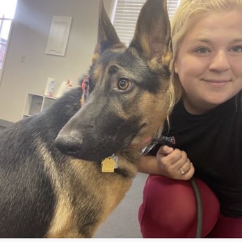 Off Leash K9 Training- Bay Area - Hazel with Courtney (pic from daily report card) - Pet Training Near Me Off Leash K9 Training- Bay Area - Hazel with Courtney (pic from daily report card) - Pet Training Near Me