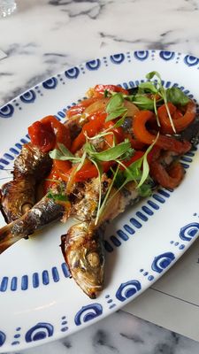 Bar Douro London Bridge by null