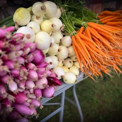 Boyne City Farmers Market