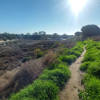 Bartlett Park - view from up the hill over the lower end of the park. - Parks Near Me - Huntington Beach, California Bartlett Park - view from up the hill over the lower end of the park. - Parks Near Me - Huntington Beach, California