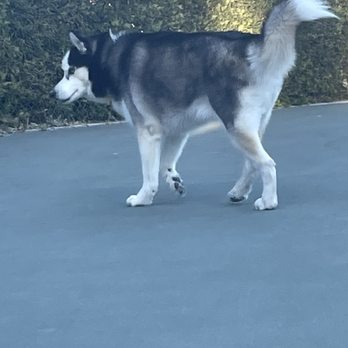 Bark 'N Bathe - Pet Groomers Near Me - Whittier, California