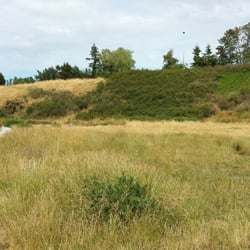 Fairhaven Dog Park - The cliff provides a natural barrier for this off-leash dog park.