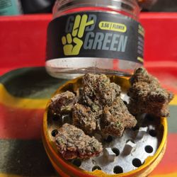 RISE Dispensaries Reno