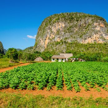 My Amigo In Cuba - Viñales valley - Travel Services Near Me My Amigo In Cuba - Viñales valley - Travel Services Near Me