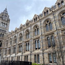The Natural History Museum