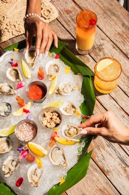 Cadillac Hotel & Beach Club, Autograph Collection by null