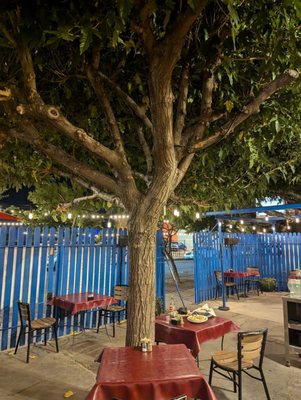 El Patio De Albuquerque by null