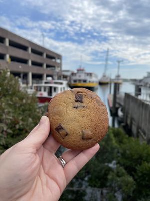 Maine Day Ventures/ formerly Maine Foodie Tours by null