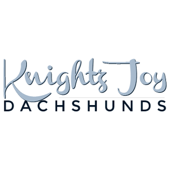 Knightz Joy Dachshunds - Pet Services Near Me Knightz Joy Dachshunds - Pet Services Near Me
