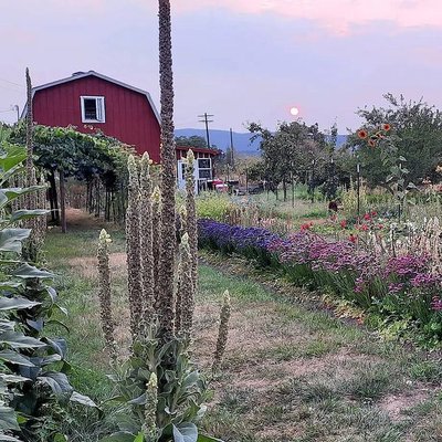 Midway Farms | Fresh Goods | Albany by null