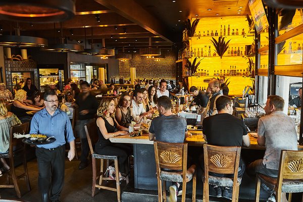 solita Tacos & Margaritas by null