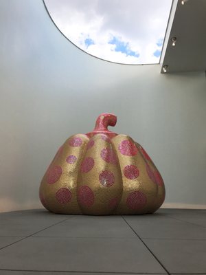 YAYOI KUSAMA Museum by null