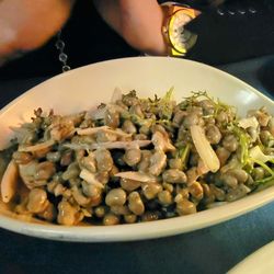 Evergreen Steak and Oysters