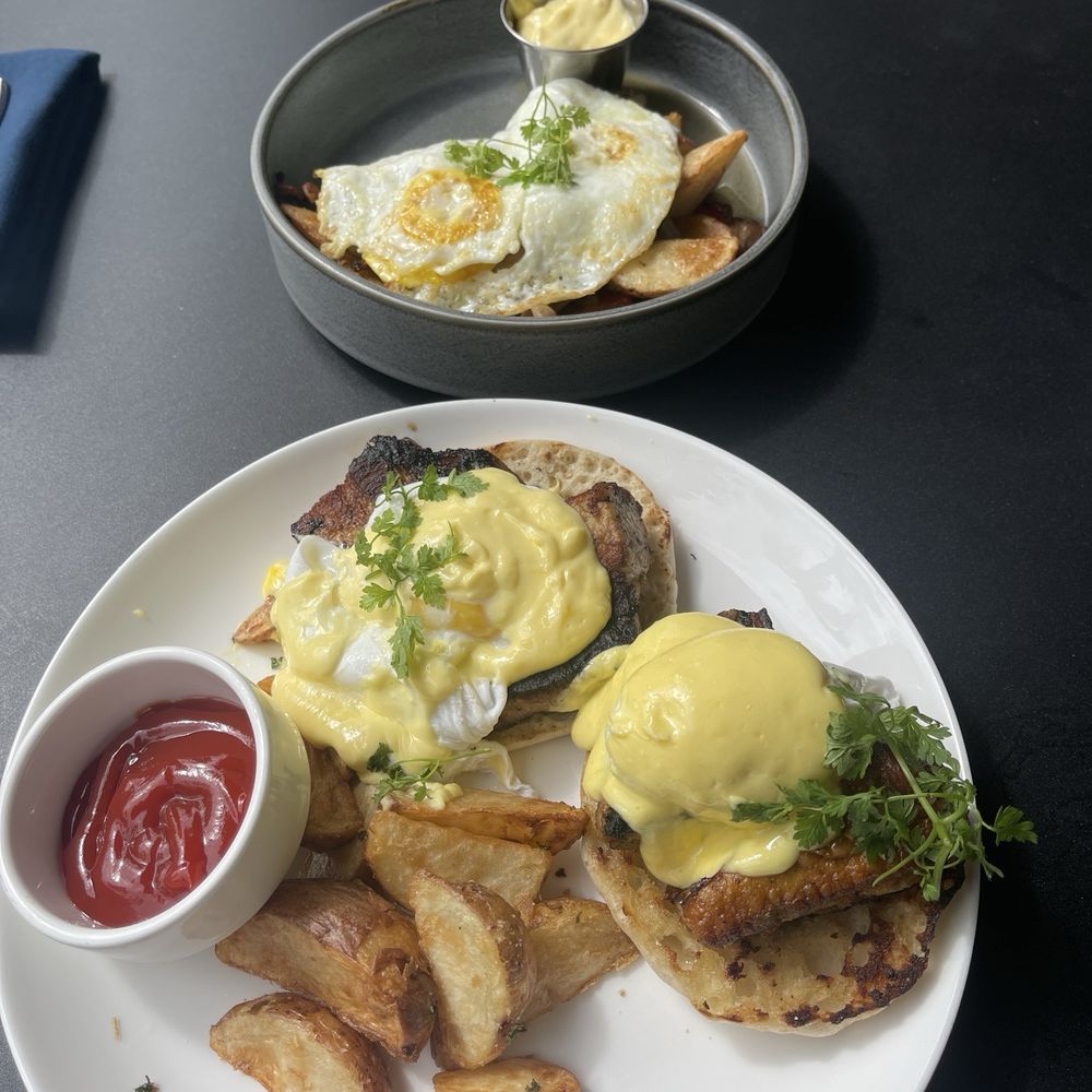 ARLO - Short Rib Hash & Eggs, and the Arlo Benedict (with pork belly) - New American Near Me - San Diego, California ARLO - Short Rib Hash & Eggs, and the Arlo Benedict (with pork belly) - New American Near Me - San Diego, California