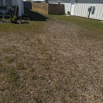 TruGreen Lawn Care - Lawn Services Near Me - Pensacola, Florida TruGreen Lawn Care - Lawn Services Near Me - Pensacola, Florida