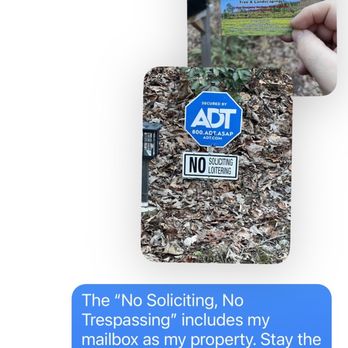 D & T Tree & Landscaping - Illegal solicitation in my mailbox. - Tree Services Near Me D & T Tree & Landscaping - Illegal solicitation in my mailbox. - Tree Services Near Me