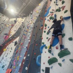 Vertical View