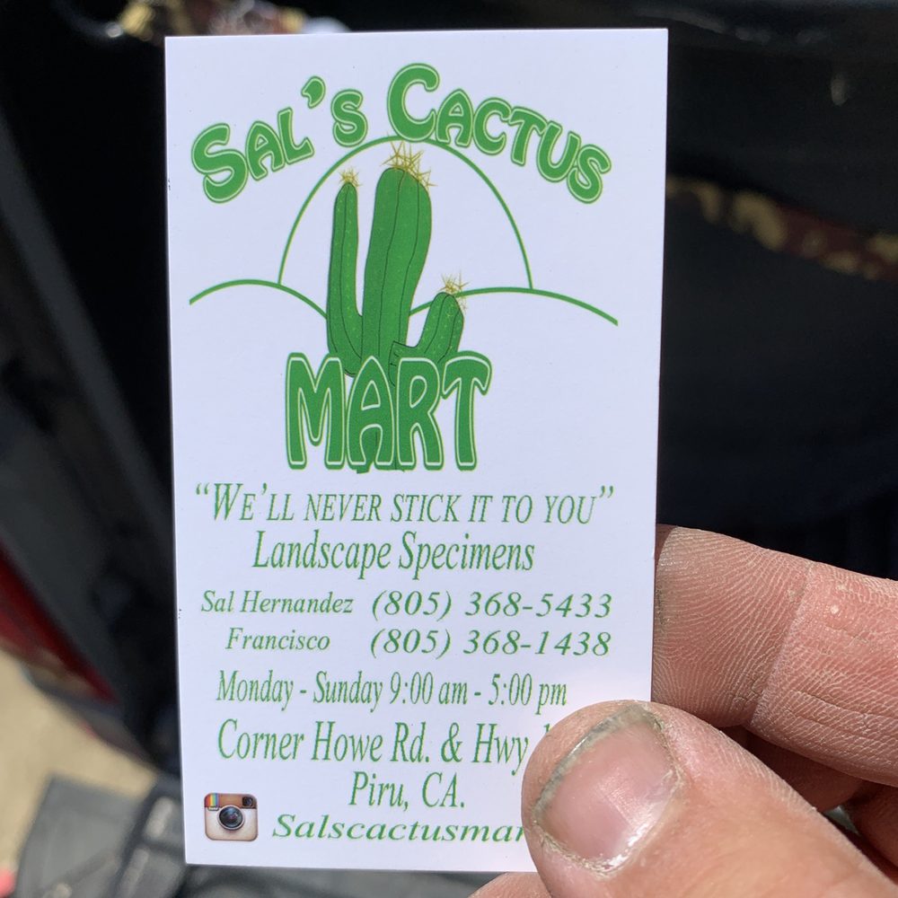 Sal’s Cactus Mart - Nurseries & Gardening Near Me - Fillmore, California Sal’s Cactus Mart - Nurseries & Gardening Near Me - Fillmore, California
