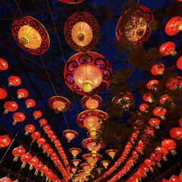Animals Aglow festival 2025