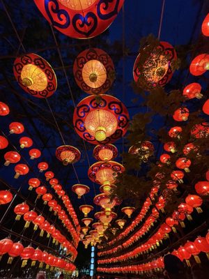 Saint Louis Zoo by null