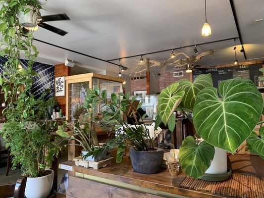 Bay Park Coffee by null
