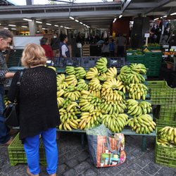Mercado do Peixe - Flowers, fruits and vegetables