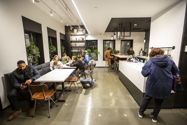 Fresh Food Generation by null