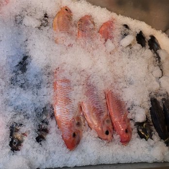 Bossa Fish - Seafood Near Me - Elizabeth, New Jersey