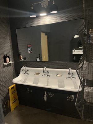 The Little Lark by null