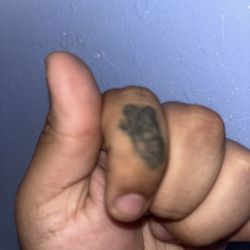 Blazing Horse Tattoo - Never again