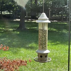 Wild Birds Unlimited - New new bird seed in the squirrel proof feeder (well resistant my squirrels are diabolical)