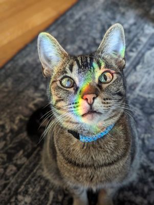 Ember Hostel by null