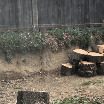 First Class Tree Service - Tree Services Near Me