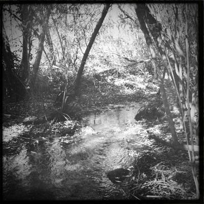Arroyo Park by null