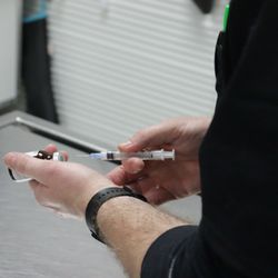 Pet Wow - One of our veterinary technicians drawing an injection into a syringe.
