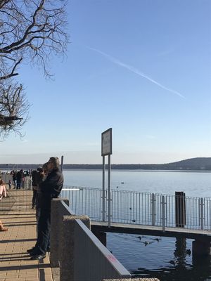 Müggelsee by null