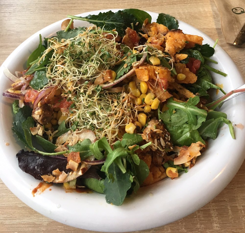 URBAN HERBIVORE CLOSED Updated August 2024 120 Photos & 180