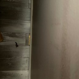 Flooring fails Flooring fails