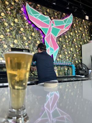 The Whale A Craft Beer Collective by null